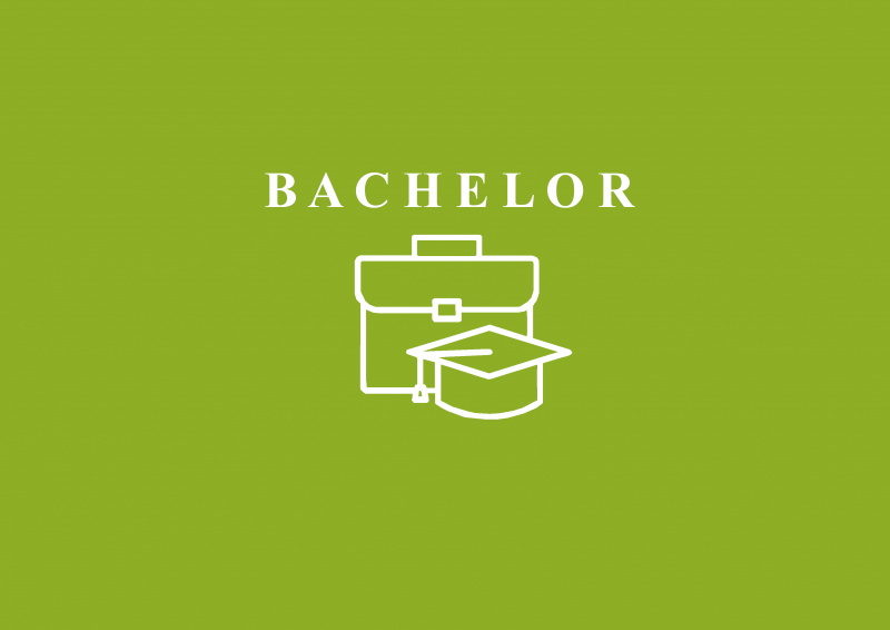 Bachelor Info