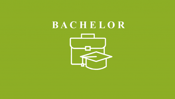 Bachelor Info